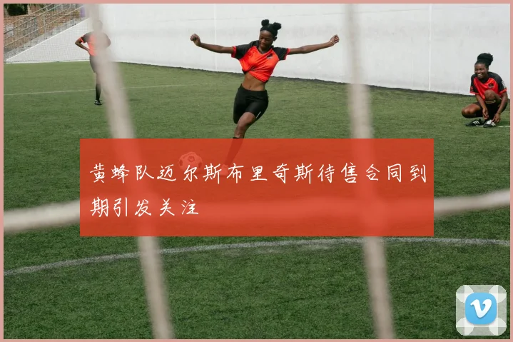 黄蜂队迈尔斯布里奇斯待售合同到期引发关注