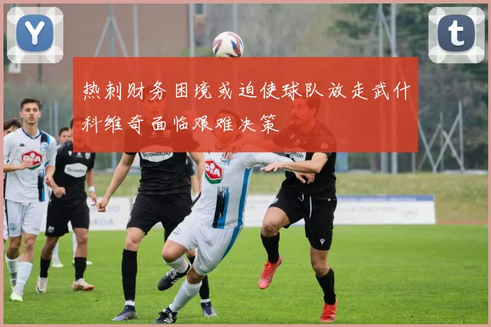 热刺财务困境或迫使球队放走武什科维奇面临艰难决策